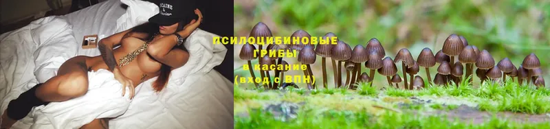 ссылка на мегу маркетплейс  Поронайск  Галлюциногенные грибы Cubensis 